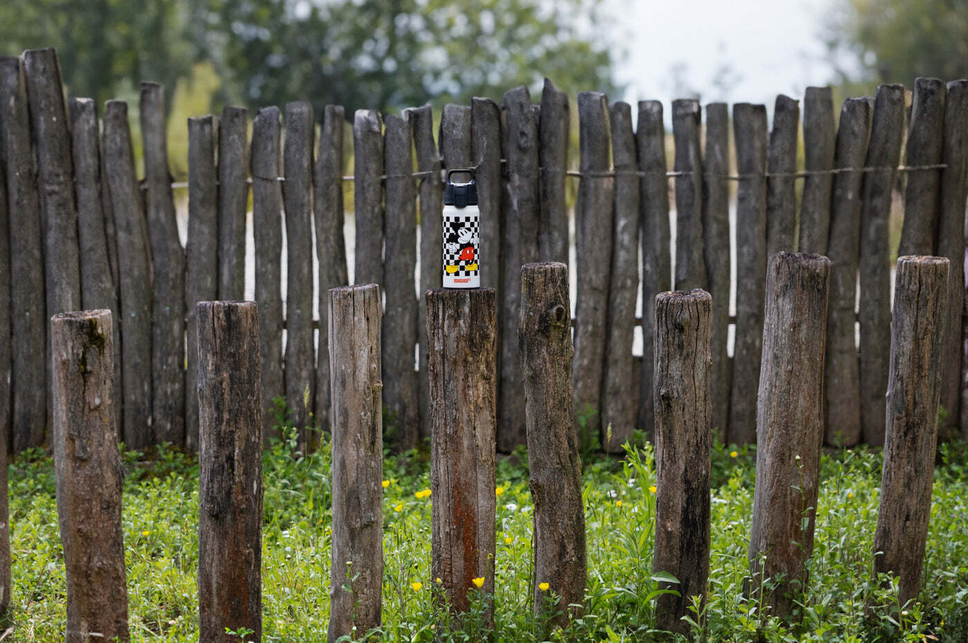 Sigg WMB One dětská láhev na pití 600 ml, mickey retro, 6060.20