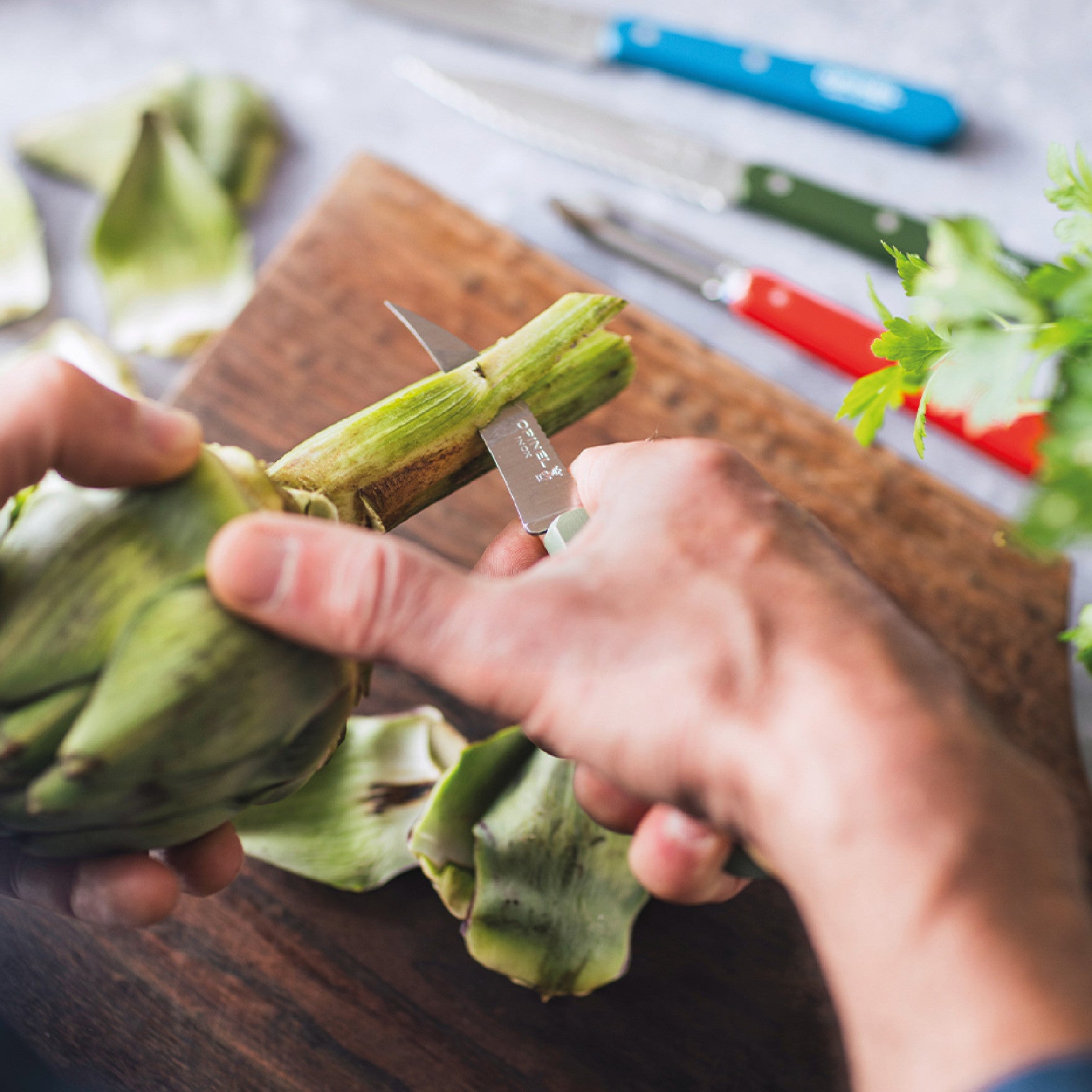 Opinel Les Essentiels N°114 nůž na zeleninu 7 cm, sage, 003129