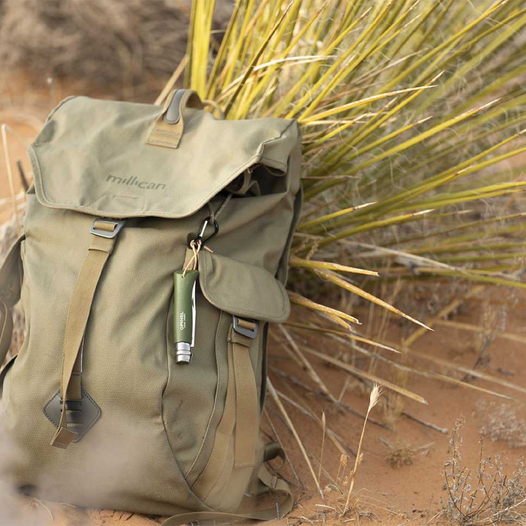 Opinel Colorama N°08 zavírací nůž 8,5 cm, zelená, 001703