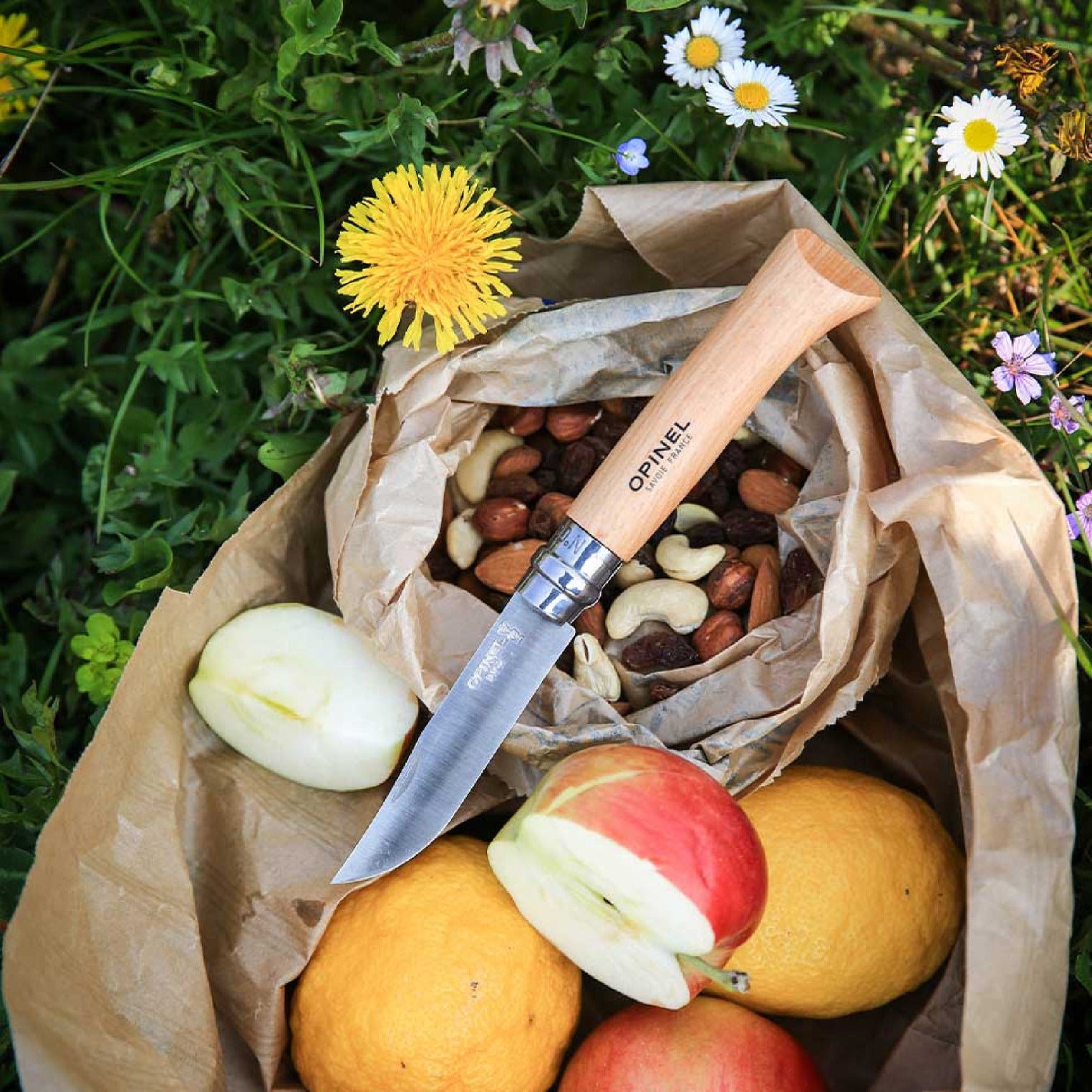 Opinel Inox N°08 folding knife 8.5 cm, 123080