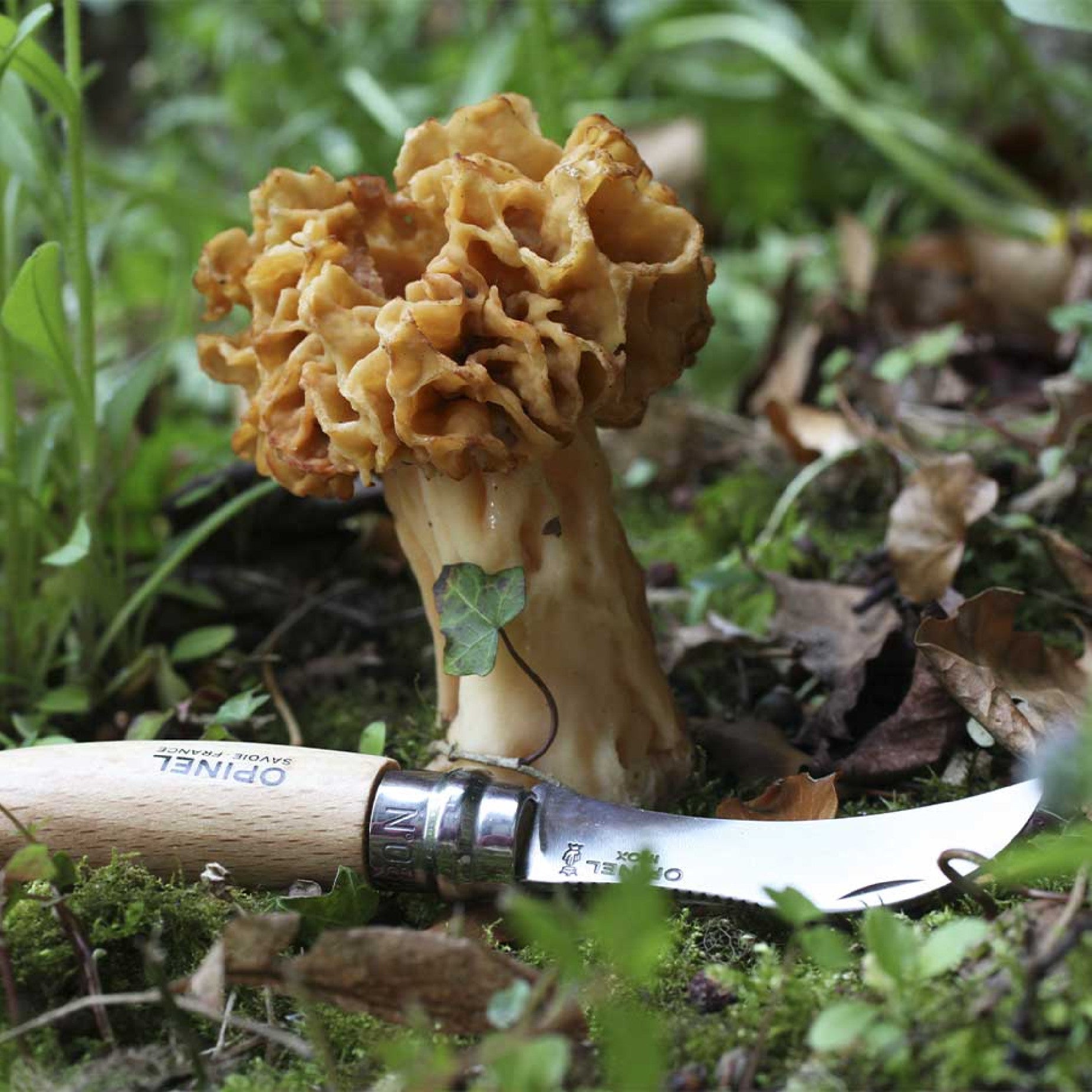 Opinel Nomad N°08 houbařský nůž 8 cm, 001252