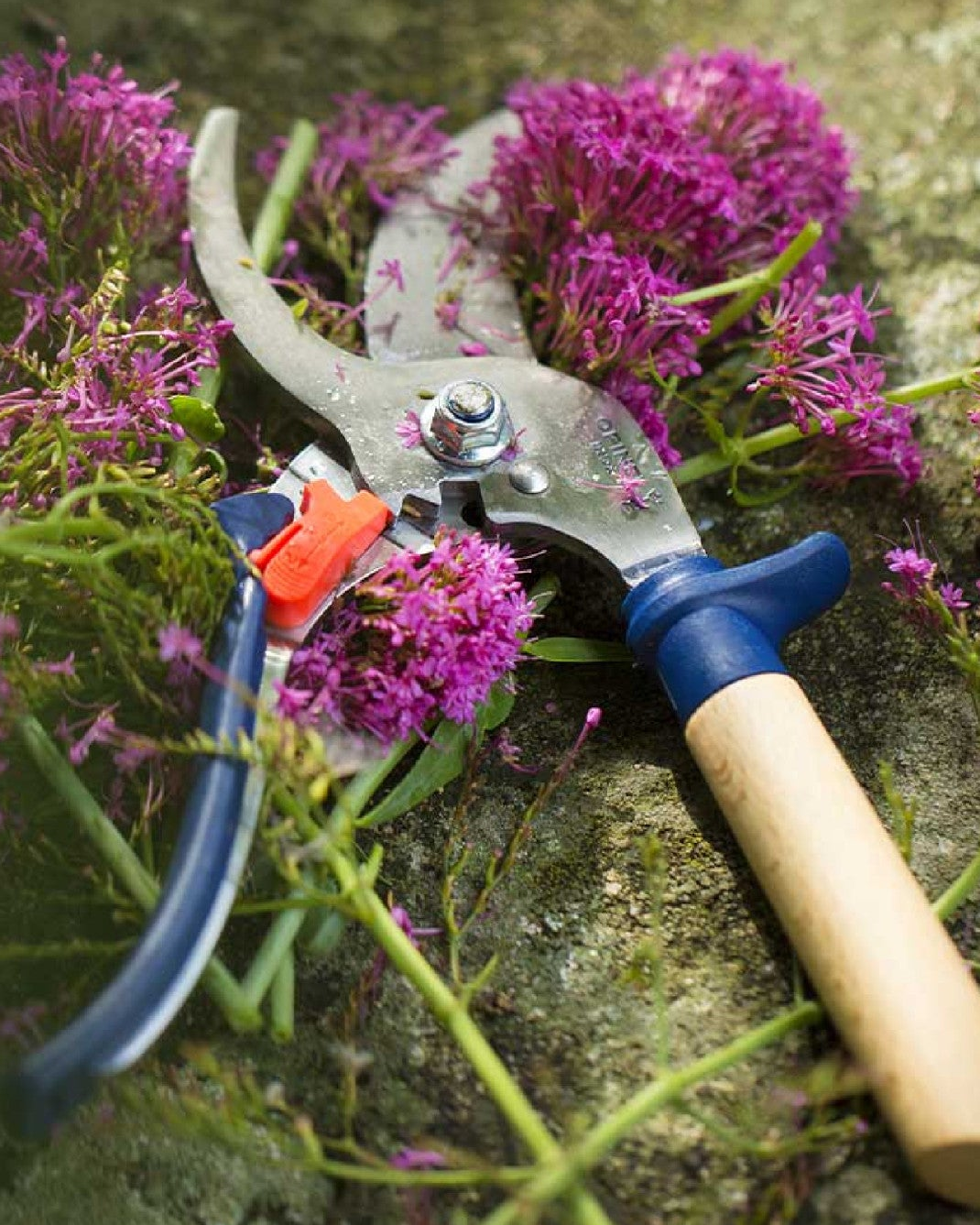 Opinel garden tools