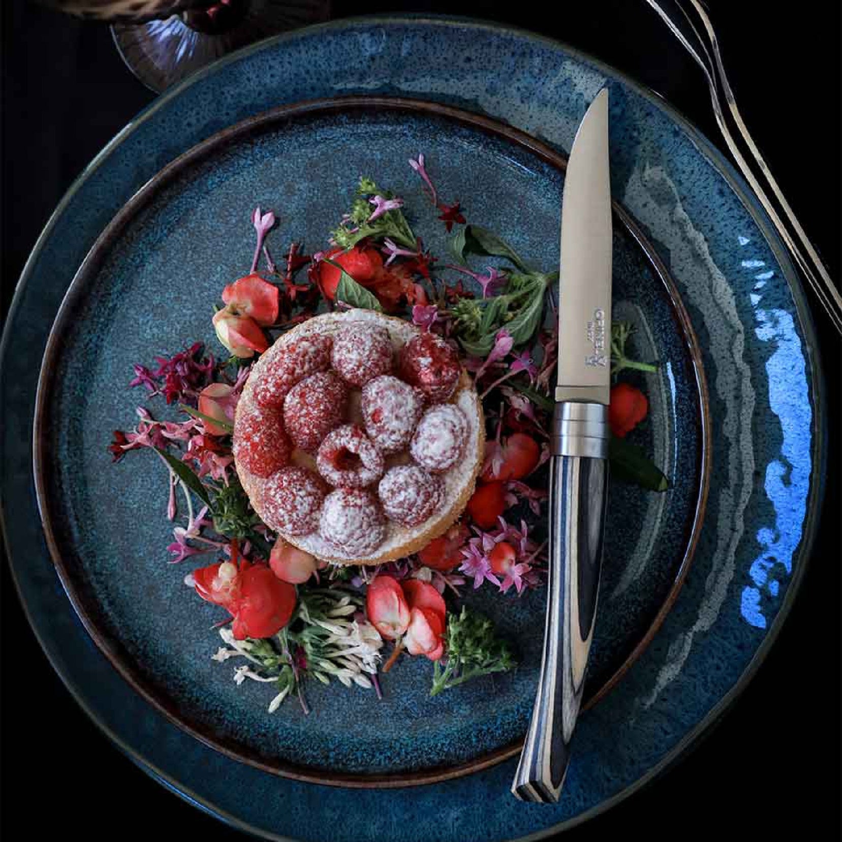 Súprava steakových nožov Opinel Table Chic, 4 ks, fínska breza, 002483