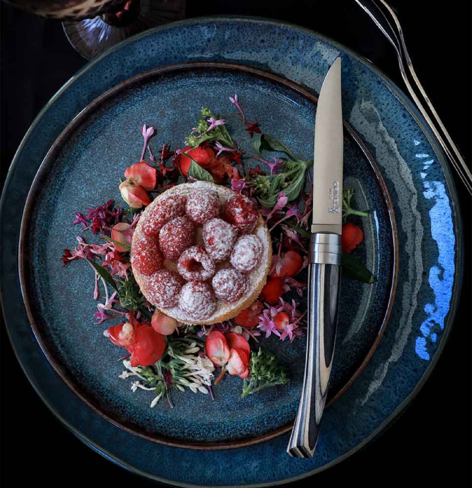 Opinel Table Chic steak knife set, 4 pcs, Finnish birch, 002483