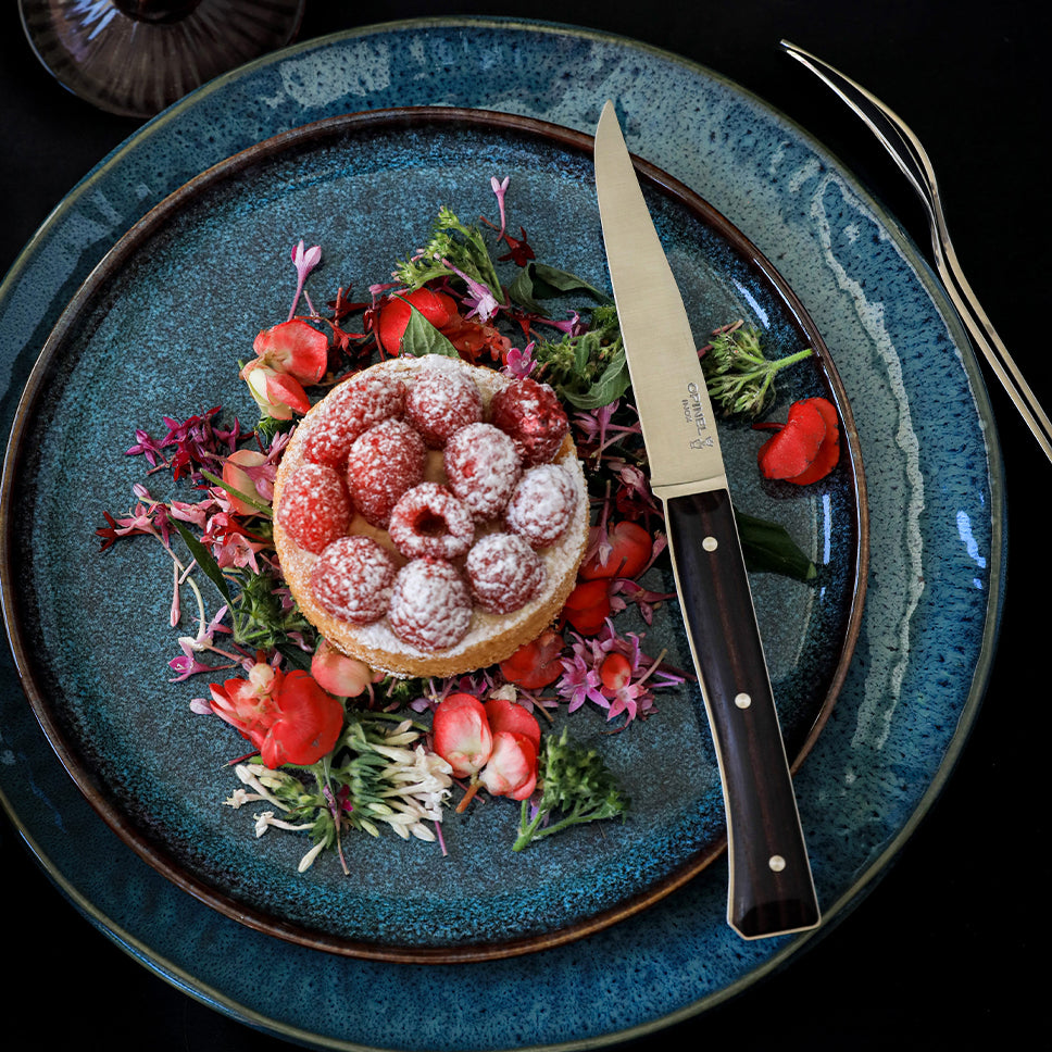 Opinel Facette sada 4 príborových nožov, tmavý popol, 002497