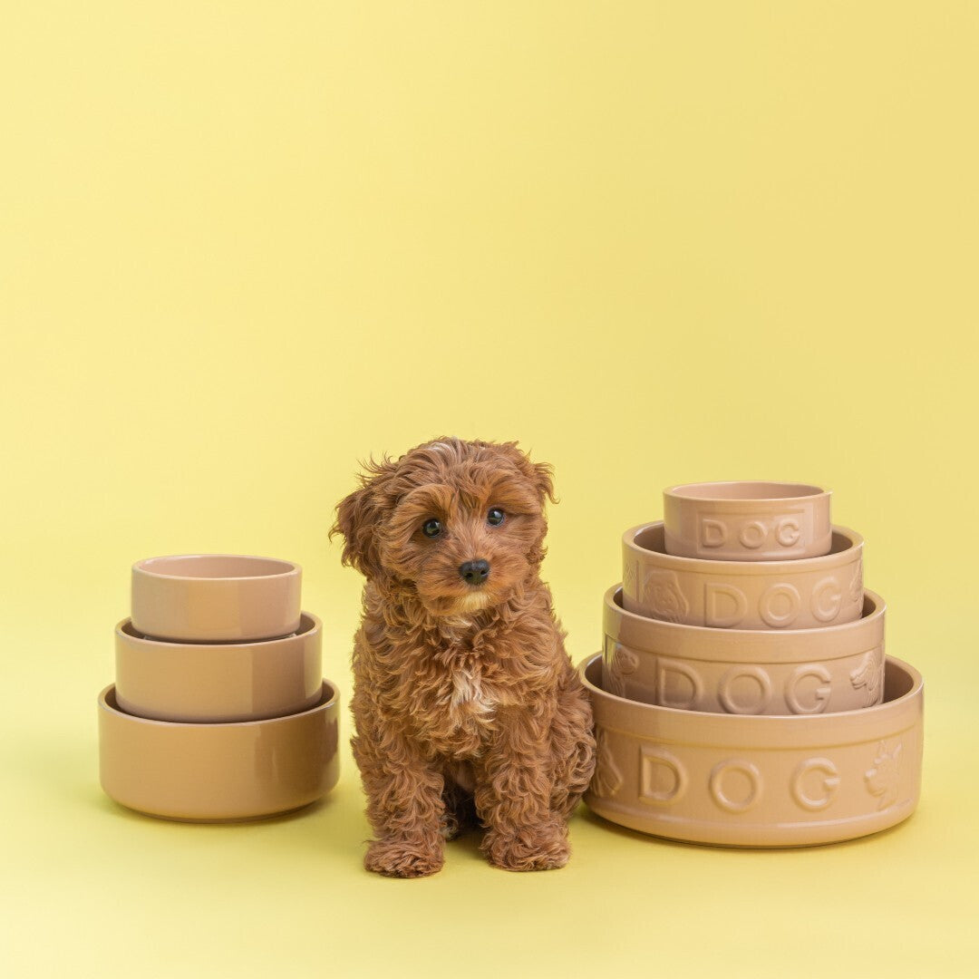 Mason Cash Cane Pet Bowl dog bowl 18 x 7 cm, cinnamon, 2030.307