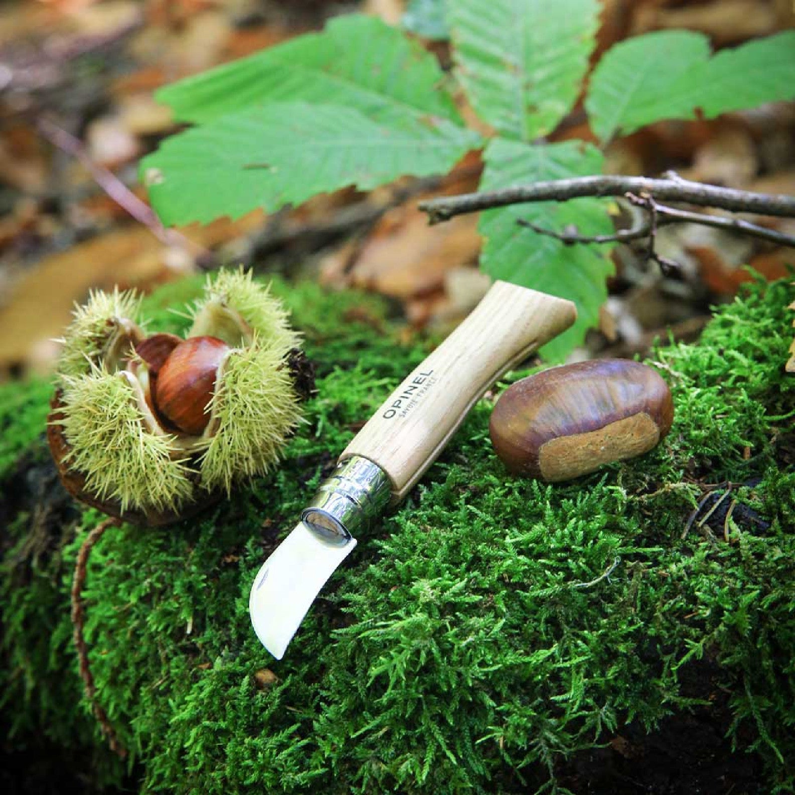 Opinel Nomad N°07 Nôž na gaštany a cesnak 4 cm, 002360