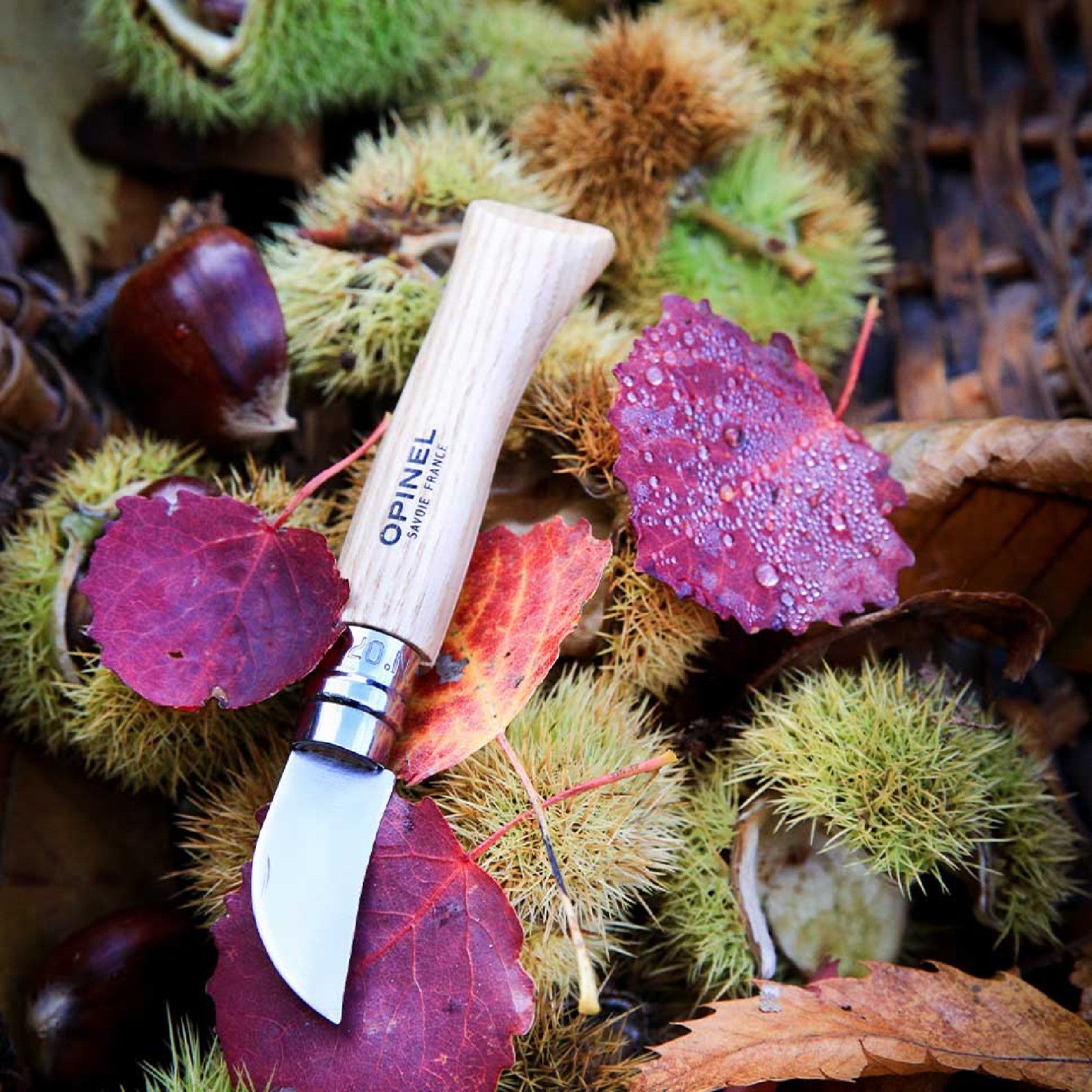 Opinel Nomad N°07 Nôž na gaštany a cesnak 4 cm, 002360