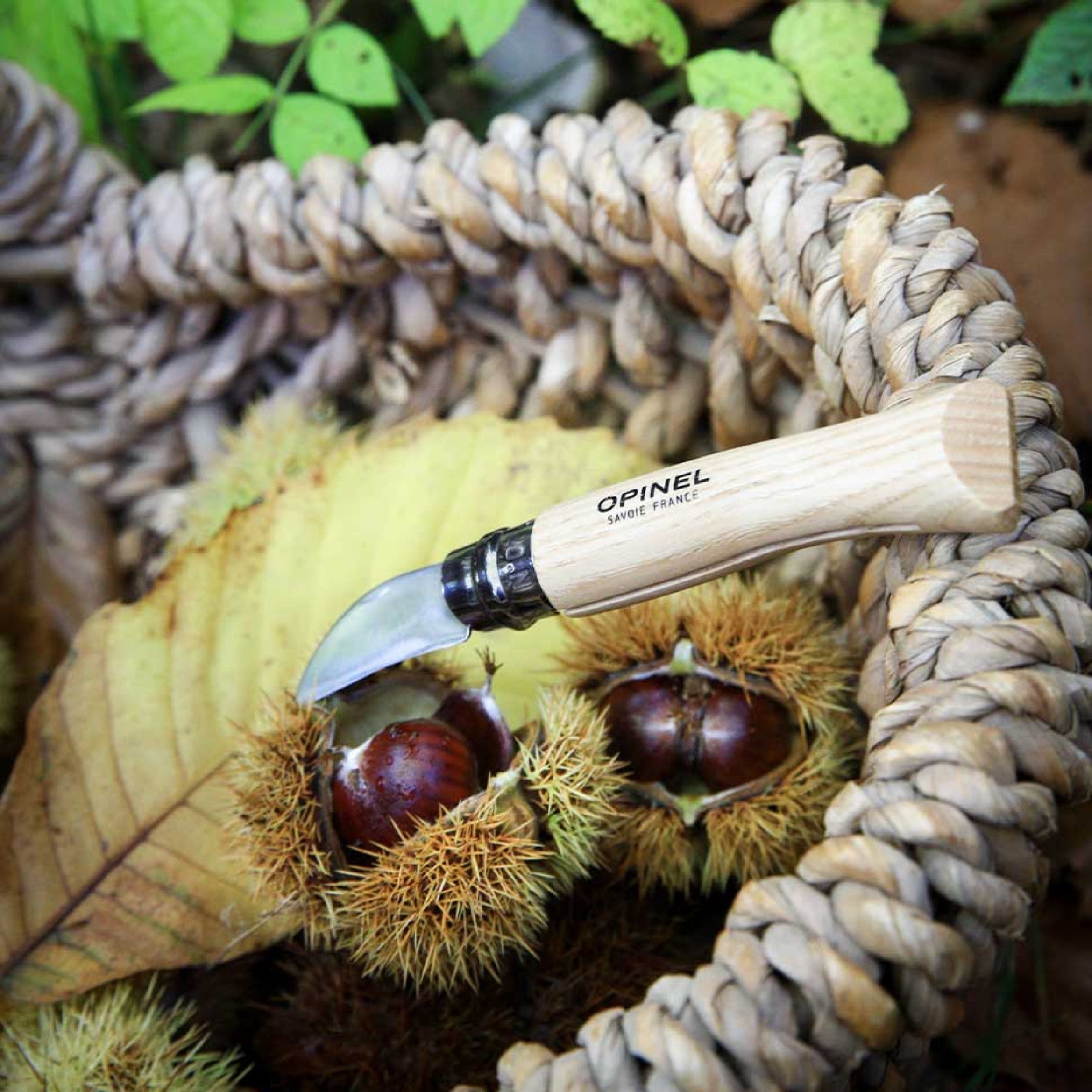 Opinel Nomad N°07 Nôž na gaštany a cesnak 4 cm, 002360